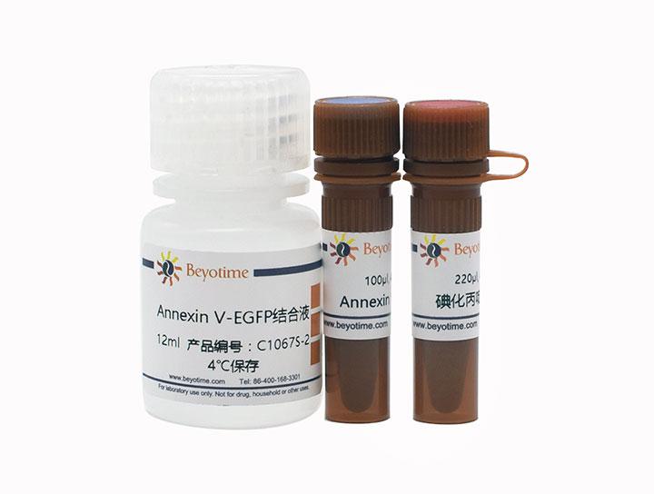 Annexin V-EGFP细胞凋亡检测试剂盒